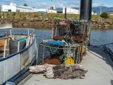 Fishing gear at wharf